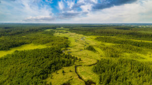 Strona główna