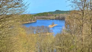 IMG_8511